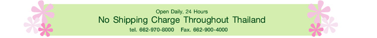 FREE Overnight delivery directly from Bangkok to anywhere in Thailand