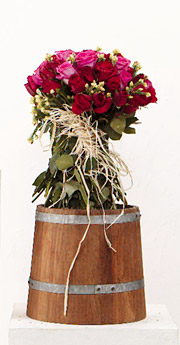 The meaning of Thailand Roses
