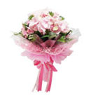 ช่อดอกไม้ มิสลิลลี่></a><br>
<a href=