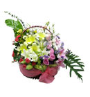 กระเช้าดอกไม้ มิสลิลลี่></a><br>
<a href=