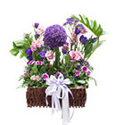 กระเช้าดอกไม้ มิสลิลลี่></a><br>
<a href=