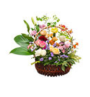 กระเช้าดอกไม้ มิสลิลลี่></a><br>
<a href=