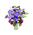 กล้วยไม้ มิสลิลลี่></a><br>
<a href=