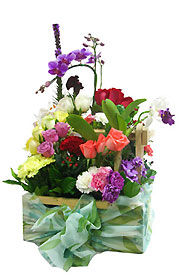 Miss Lily Flower Basket