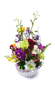 Miss Lily Orchid Basket