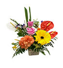 ดอกไม้ประดับโต๊ะ มิสลิลลี่></a><br>
<a href=