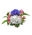 ดอกไม้ประดับโต๊ะ มิสลิลลี่></a><br>
<a href=