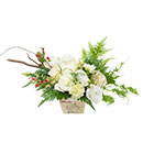 ดอกไม้ประดับโต๊ะ มิสลิลลี่></a><br>
<a href=
