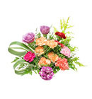 ดอกไม้ประดับโต๊ะ มิสลิลลี่></a><br>
<a href=