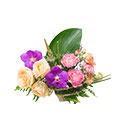 ดอกไม้ประดับโต๊ะ มิสลิลลี่></a><br>
<a href=