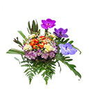 ดอกไม้ประดับโต๊ะ มิสลิลลี่></a><br>
<a href=