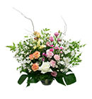 ดอกไม้ประดับโต๊ะ มิสลิลลี่></a><br>
<a href=