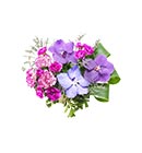 ดอกไม้ประดับโต๊ะ มิสลิลลี่></a><br>
<a href=