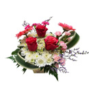 ดอกไม้ประดับโต๊ะ มิสลิลลี่></a><br>
<a href=
