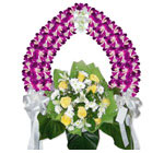 พวงหรีด มิสลิลลี่ ></a><br>
<a href=