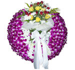 พวงหรีด มิสลิลลี่ ></a><br>
<a href=