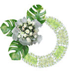 พวงหรีด มิสลิลลี่ ></a><br>
<a href=