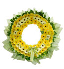 พวงหรีด มิสลิลลี่ ></a><br>
<a href=