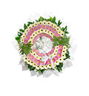 พวงหรีด มิสลิลลี่ ></a><br>
<a href=