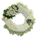 พวงหรีด มิสลิลลี่ ></a><br>
<a href=