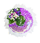 พวงหรีด มิสลิลลี่ ></a><br>
<a href=