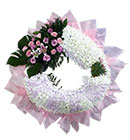 พวงหรีด มิสลิลลี่ ></a><br>
<a href=