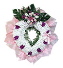 พวงหรีด มิสลิลลี่ ></a><br>
<a href=