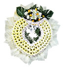 พวงหรีด มิสลิลลี่ ></a><br>
<a href=