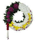 พวงหรีด มิสลิลลี่ ></a><br>
<a href=