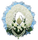 พวงหรีด มิสลิลลี่ ></a><br>
<a href=