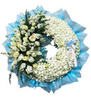 พวงหรีด มิสลิลลี่ ></a><br>
<a href=