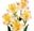 Alstroemeria