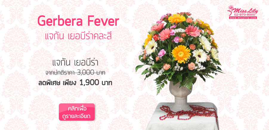 Mixed color Gerbera