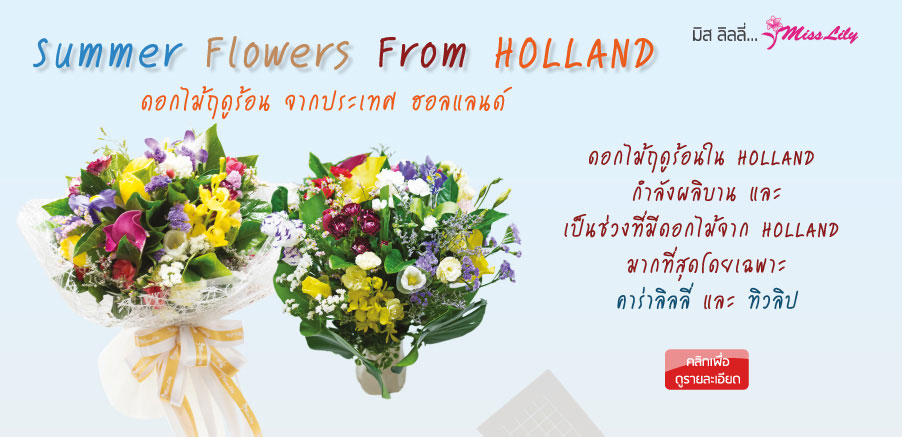 Holland Summer Flower
