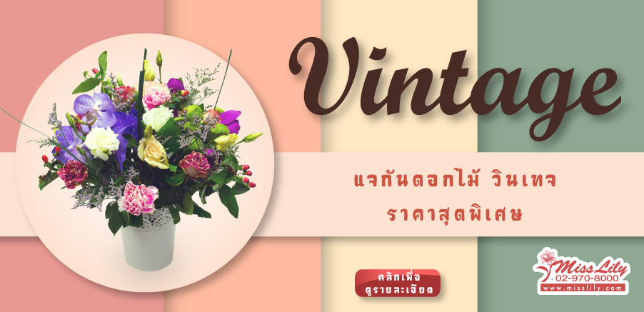 Vintage of Love