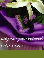Special Birthday Offers with Miss Lily