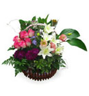 กระเช้าดอกไม้ มิสลิลลี่></a><br>
<a href=