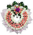 ></a><br>
<a href=