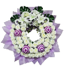 ></a><br>
<a href=
