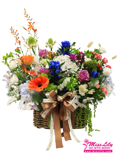 Flower Basket