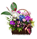 กระเช้าดอกไม้ มิสลิลลี่></a><br>
<a href=