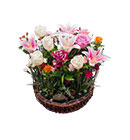 กระเช้าดอกไม้ มิสลิลลี่></a><br>
<a href=