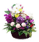 กระเช้าดอกไม้ มิสลิลลี่></a><br>
<a href=