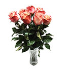 ดอกไม้สด></a><br>
<a href=