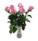ดอกไม้สด></a><br>
<a href=