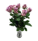 ดอกไม้สด></a><br>
<a href=