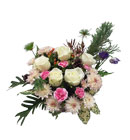 ดอกไม้ประดับโต๊ะ มิสลิลลี่></a><br>
<a href=
