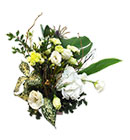 ดอกไม้ประดับโต๊ะ มิสลิลลี่></a><br>
<a href=