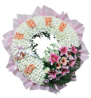 พวงหรีด มิสลิลลี่ ></a><br>
<a href=