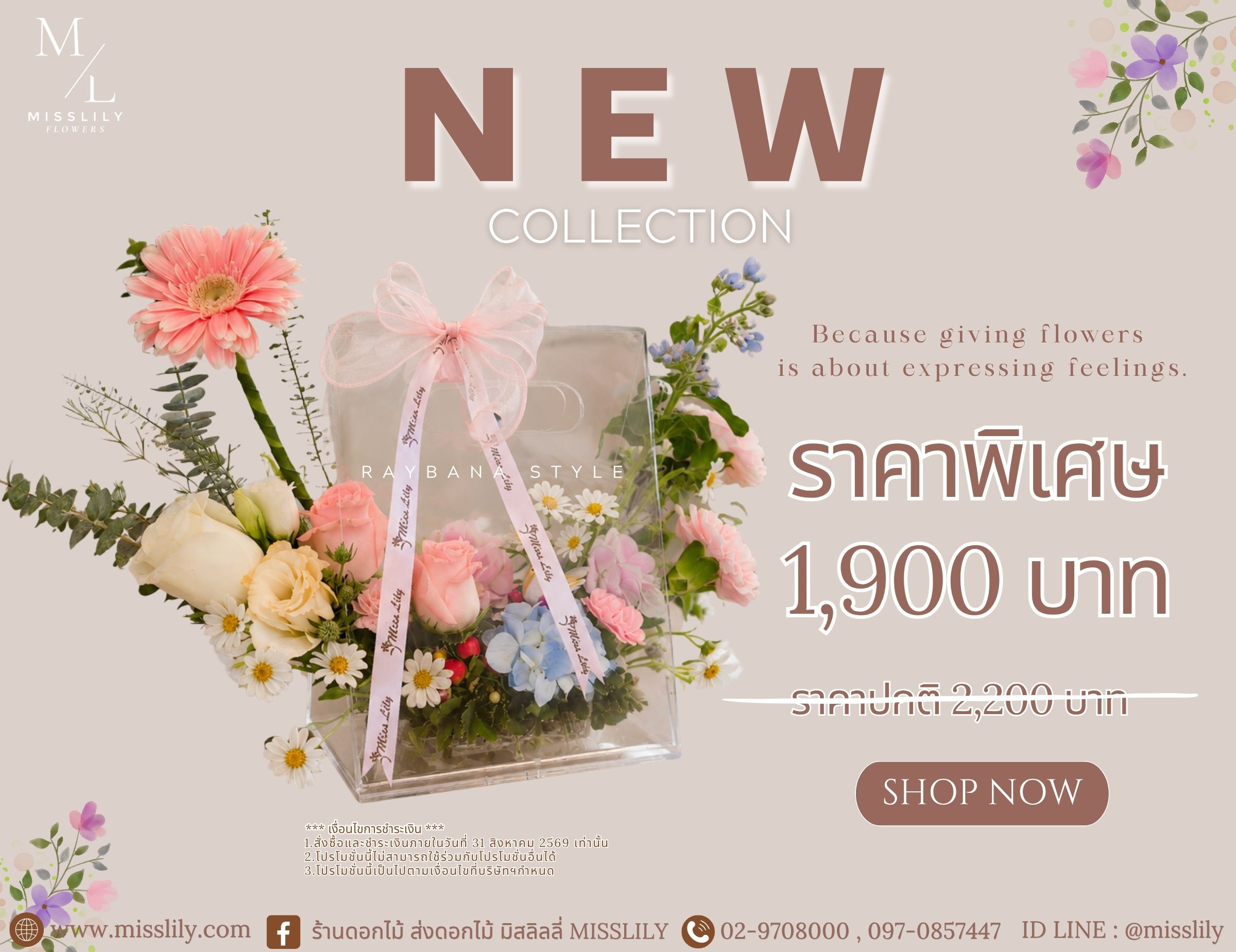 New collection 2026